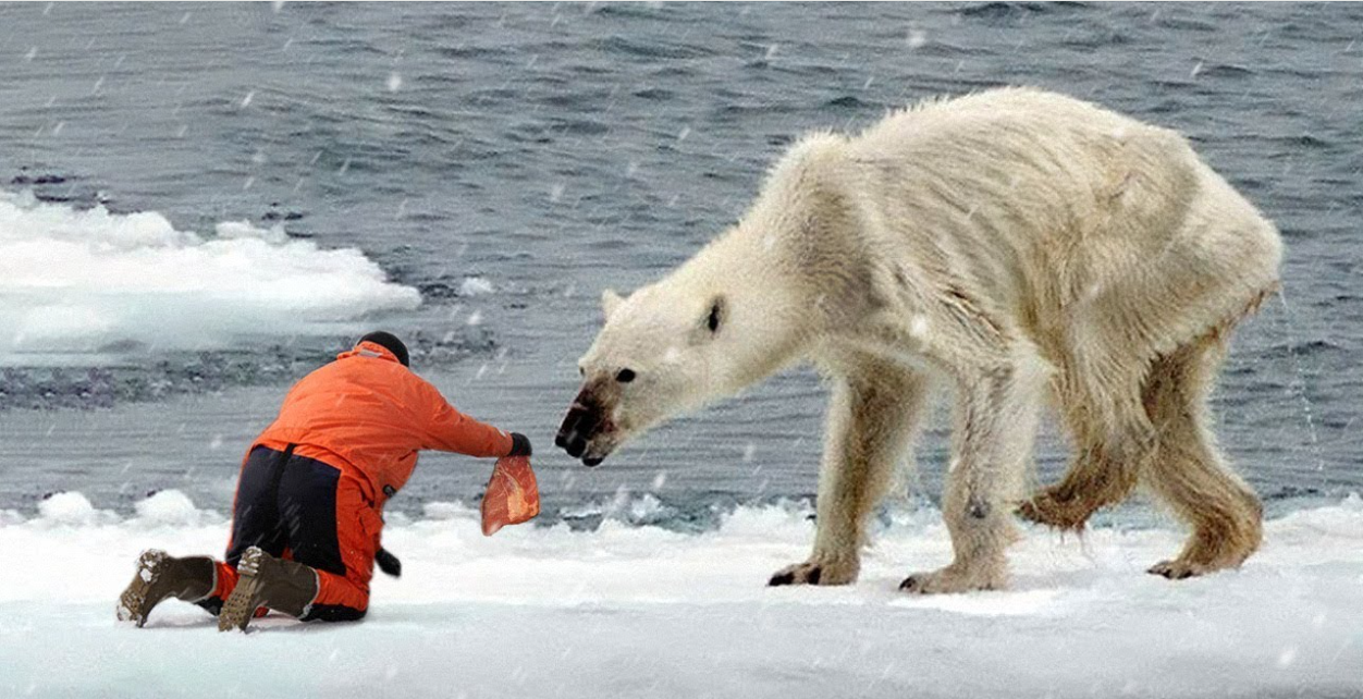 FoodwithBearHands death