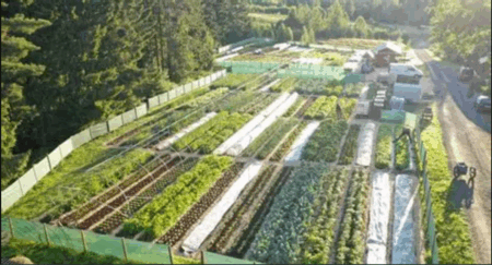 Grow a Garden Farmers Market