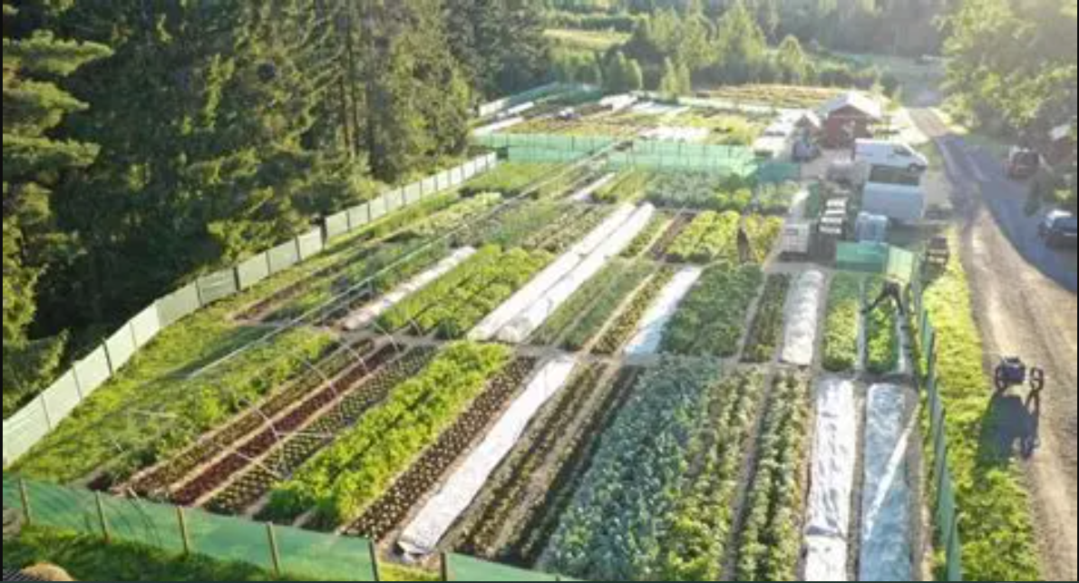 Grow a Garden Launches Player-Driven Farmers Market Trading Hub