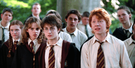 Harry Potter TV series