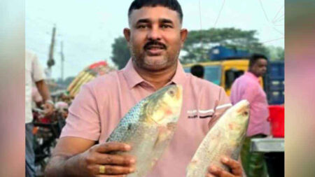 Ilish