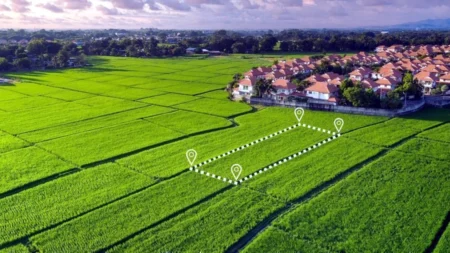 জমির ৫টি সমস্যা