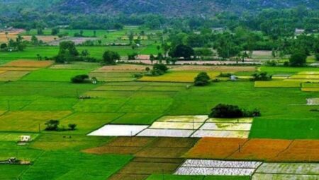 ৬ শ্রেণির জমি