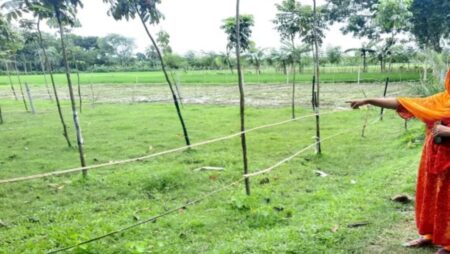 জোরপূর্বক জমি