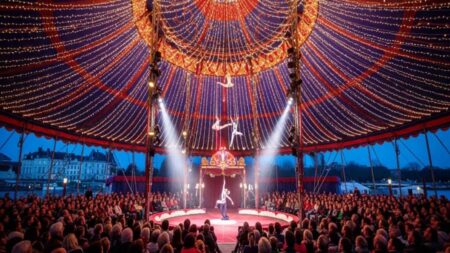 Cirque du Soleil Black Friday