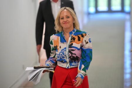 Melissa McIntosh Signals Liberal Party Unity on Net Zero Amid Internal Debate