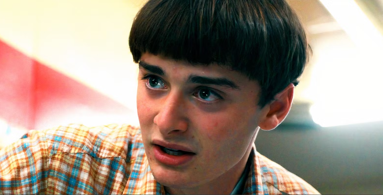 Noah Schnapp Stranger Things identity