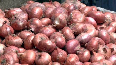 পেঁয়াজের দাম নিয়ে বড় দু:সংবাদ, একদিনেই কেজিতে বাড়লো ২০ টাকা Onion