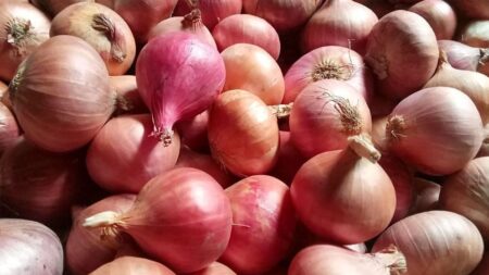 পেঁয়াজের দাম