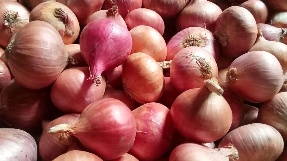 পেঁয়াজের দাম