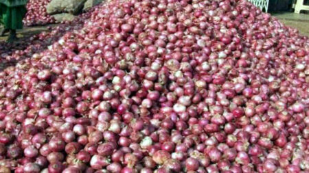 পেঁয়াজের দাম নিয়ে বড় দু:সংবাদ পেঁয়াজের দাম