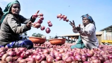 পেঁয়াজ