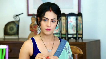 ওয়েব সিরিজ