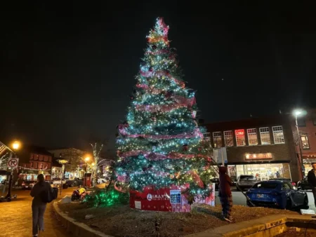 Perry Hall Tree Lighting