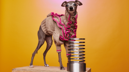Internet Mourns Tika the Iggy: Fashion Icon Dog Dies After Surgery Tika the Iggy