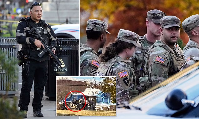 Washington Shooting Suspect from Afghanistan Sparks National Security Review