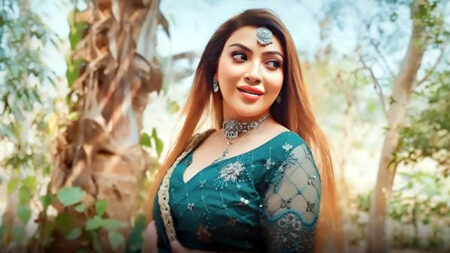 ওয়েব সিরিজ