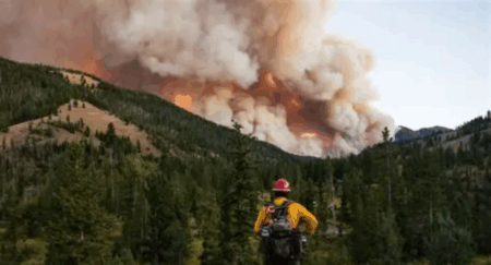 Wyoming Wildfire