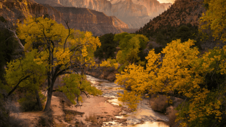 Zion National Park Fall Foliage Reaches Spectacular November Peak