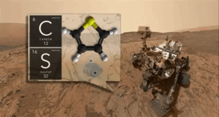 ancient organic matter