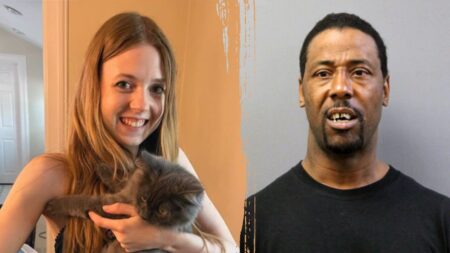 Chicago train attack