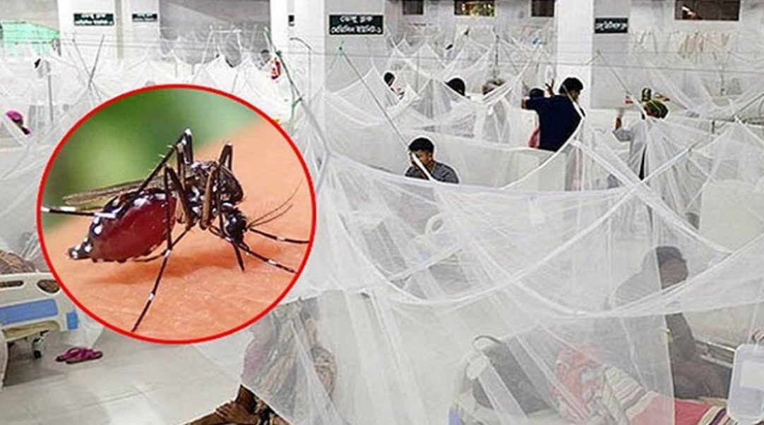 ডেঙ্গুতে প্রাণ