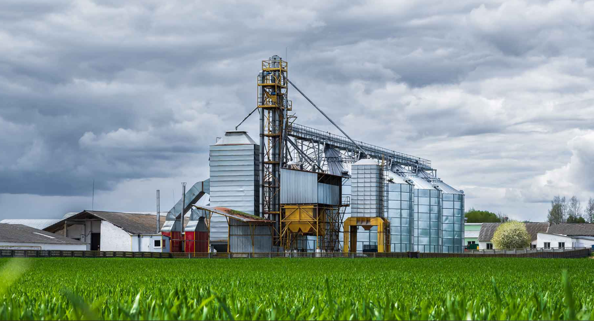 Morocco Emerges as India’s Top Fertilizer Supplier Amid China Export Freeze