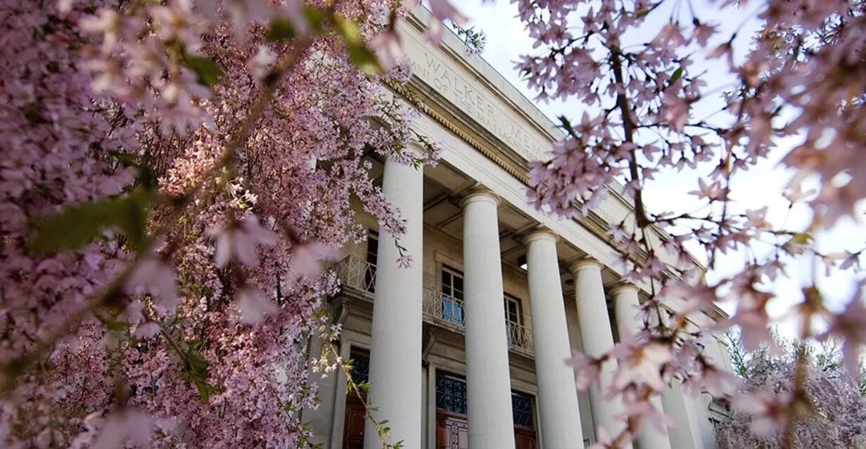 US Colleges See Sharp Rise in International Student Deferrals Amid Visa Challenges