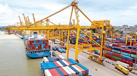 পাখির খাদ্যে মাদক