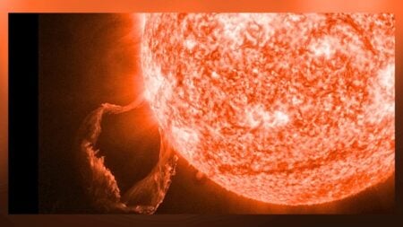 Massive Solar Flare Erupts from Sun, Triggers Radio Blackouts Across Pacific solar flare