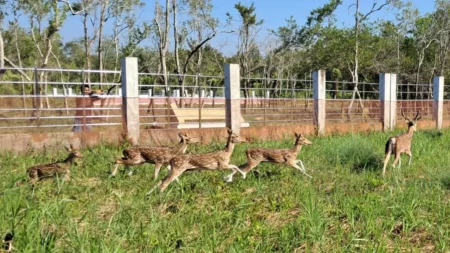 আলীবান্দা ইকো-ট্যুরিজম