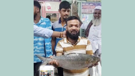 ইলিশের দাম