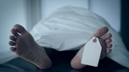 তিনজন পথচারি নিহত