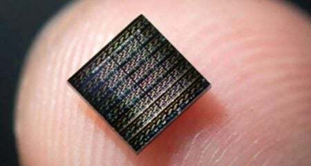 নিউরোমরফিক