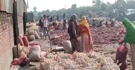 পচছে ৩০ হাজার টন ভারতীয় পেঁয়াজ