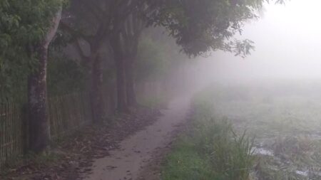 পঞ্চগড়ে তাপমাত্রা নেমে ১৪ ডিগ্রিতে