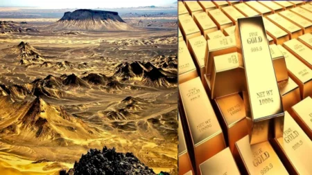 পাকিস্তানে সোনার খনি