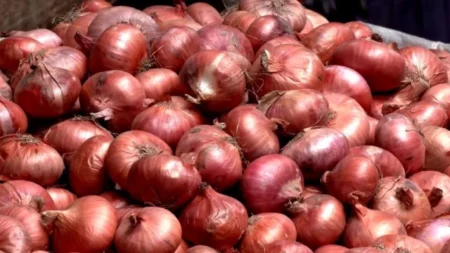 পেঁয়াজের দাম