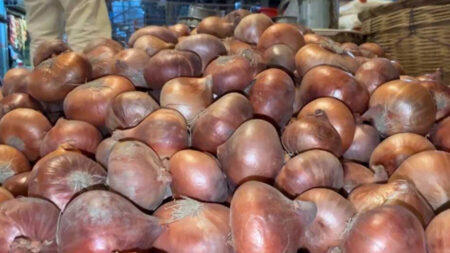 বাজারে পেঁয়াজের দাম বৃদ্ধি