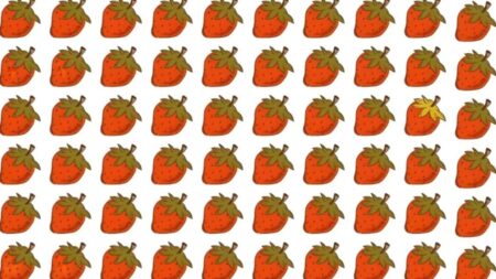 স্ট্রবেরিগুলোর মধ্যে একটি পুরো আলাদা, পেলেই আপনি জিনিয়াস স্টবেরি