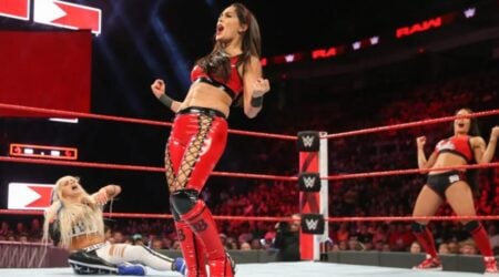 Brie Bella WWE Return Update