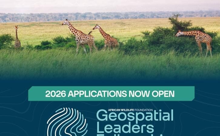 AWF Launches 2026 Geospatial Leaders Fellowship to Train Next-Gen Conservation Tech Experts
