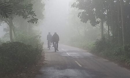 শৈত্যপ্রবাহ