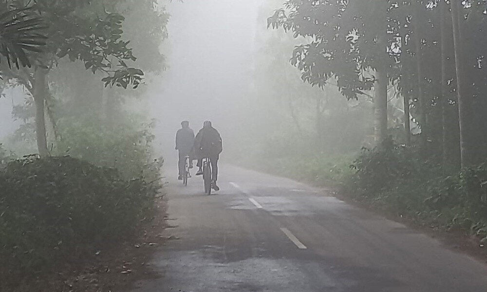 শৈত্যপ্রবাহ