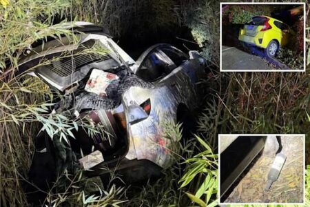 BetterLYF Founder Berri Vikram Arrested After Tesla Crash at California Winery