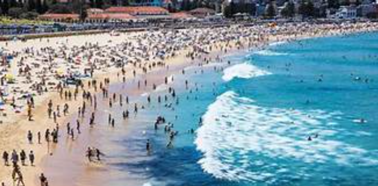 Australian PM Issues Apology After Bondi Beach Shooting Stuns Nation