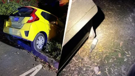 California winery fire attempt