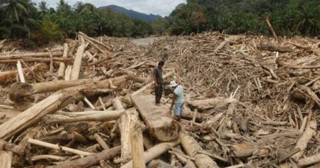 Catastrophic Asia Floods Expose Deadly Toll of Rampant Deforestation
