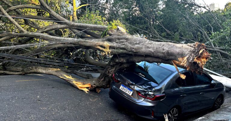 Chaos in São Paulo: Cyclone Winds Trigger Massive Power Blackout for 1.4 Million