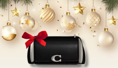 Coach Bag Christmas Eve Sale